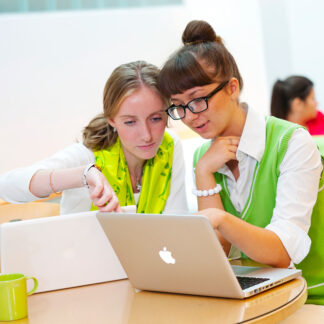 Printing Credits Bachelor's Degree in International Business (801010)